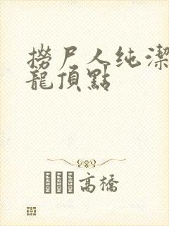 捞尸人纯洁滴小龙顶点