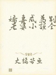 娇妻成为别人的老婆小说全文阅读免