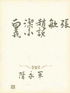 白洁赵敏张倩高义小说封面