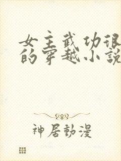女主武功很厉害的穿越小说