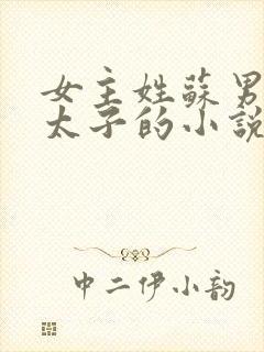 女主姓苏男主是太子的小说封面