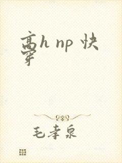 高h np 快穿