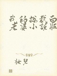 我的总裁白富美老婆小说版