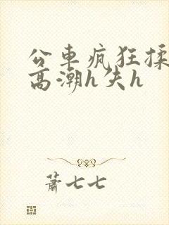 公车疯狂揉肉蒂高潮h失h