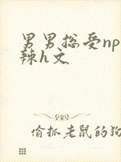 男男总受np高辣h文