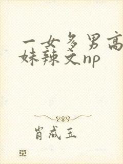 一女多男高h兄妹辣文np封面