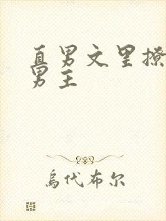 直男文里撩言情男主