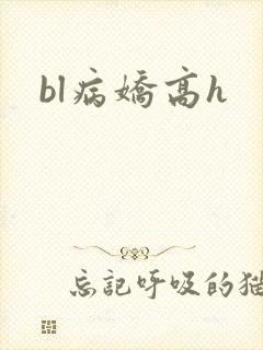 bl病娇高h封面
