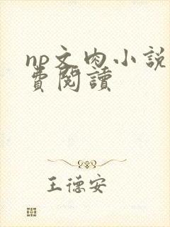 np文肉小说免费阅读