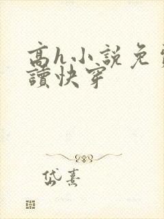 高h小说免费阅读快穿