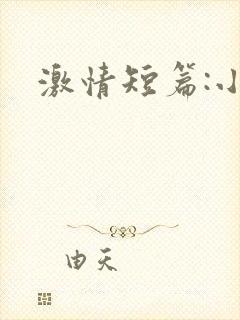 激情短篇:小说