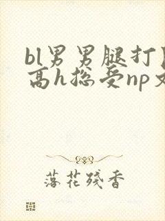 bl男男腿打开高h总受np文