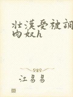 壮汉受被调教成肉奴h封面