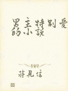 男主特别爱女主的小说
