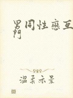 男同性恋互操肛门