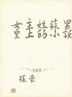 女主姓苏男主是皇上的小说