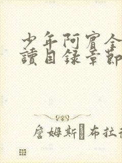 少年阿宾全文阅读目录章节