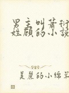 男主叫萧衍女主姓顾的小说封面