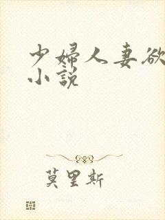 少妇人妻欲望的小说