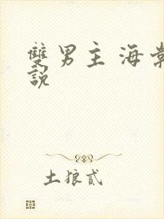 双男主 海棠小说封面