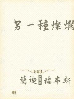 另一种灿烂生活