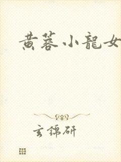 黄蓉小龙女h文