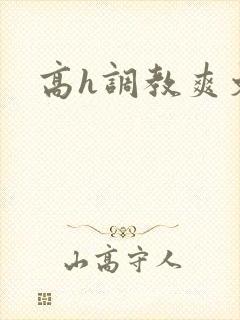 高h调教爽文封面