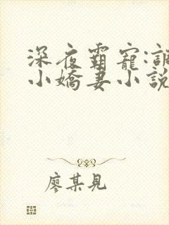 深夜霸宠:调教小娇妻小说