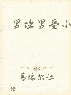 男攻男受小说h封面