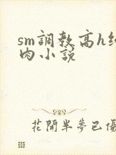 sm调教高h纯肉小说