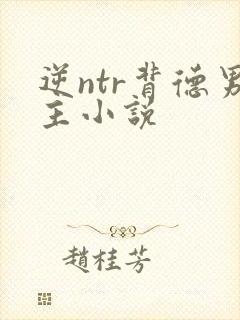 逆ntr背德男主小说封面