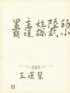 男主姓陆的全部霸道总裁小说