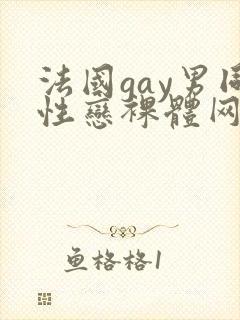 法国gay男同性恋裸体网址