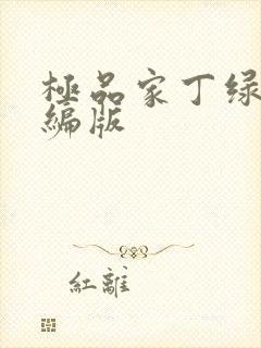 极品家丁绿帽改编版封面