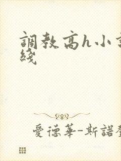 调教高h小说在线