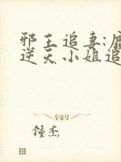 邪王追妻:废材逆天小姐追书