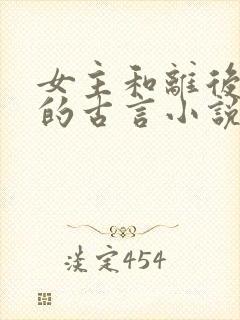 女主和离后二嫁的古言小说