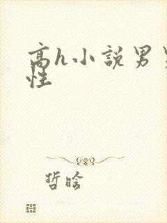 高h小说男男双性封面