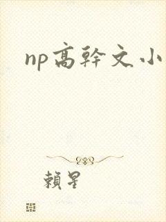 np高干文小说