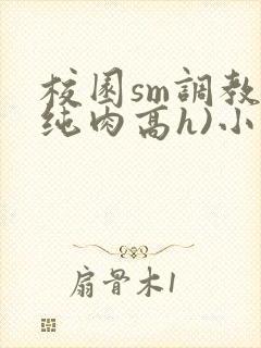 校园sm调教(纯肉高h)小说