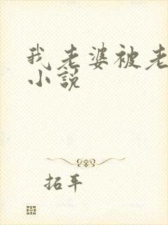 我老婆被老头操小说