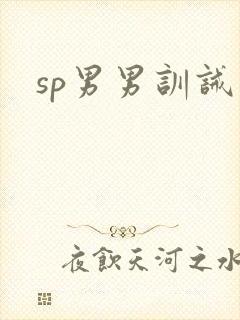 sp男男训诫文