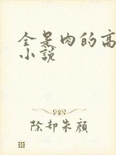 全是肉的高h文小说封面