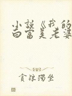 小说《我的总裁白富美老婆》