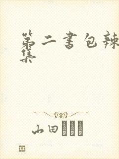 第二书包辣文合集