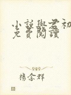 小说与君初相识免费阅读封面