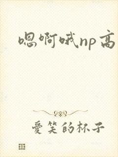 嗯啊哦np高h