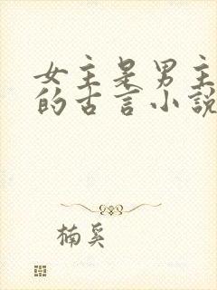 女主是男主外室的古言小说