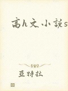 高h文小说sm