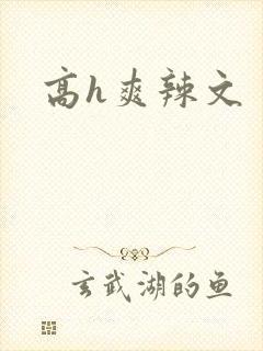 高h爽辣文